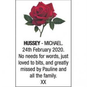 MICHAEL HUSSEY